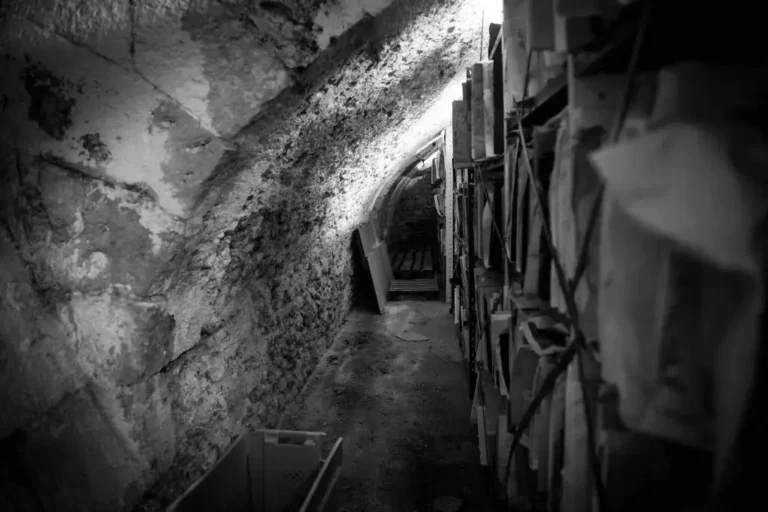 hospice-de-vienne-25102019-_DSC3381-1024x683